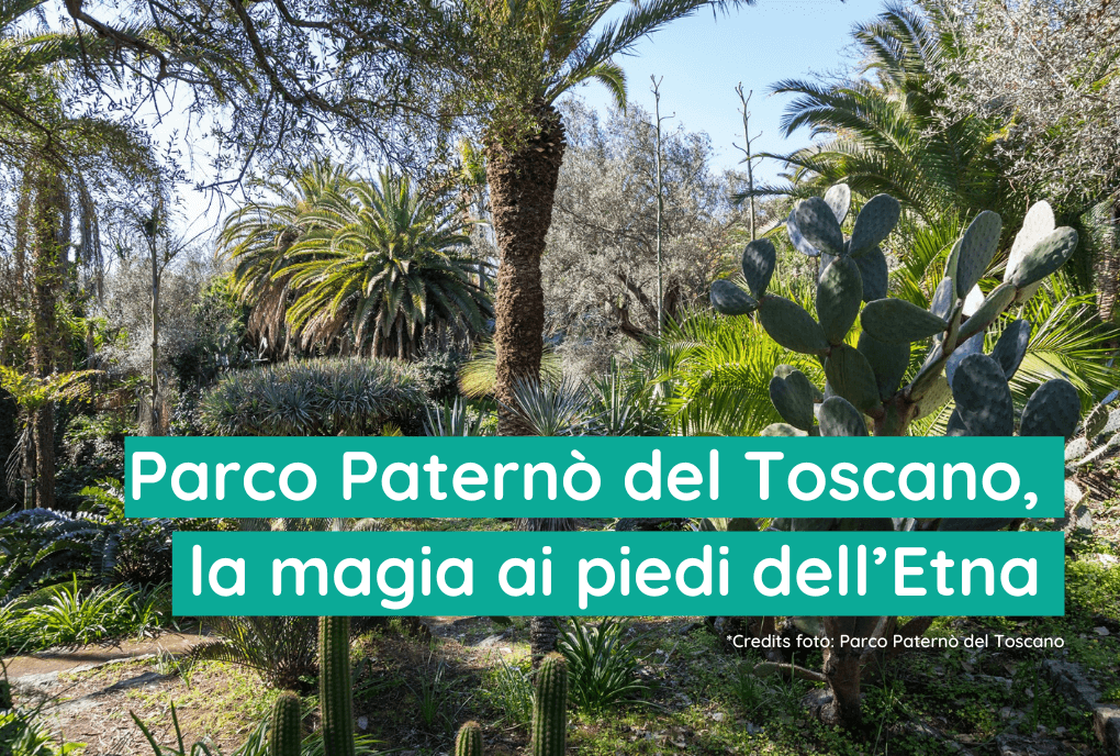 Parco Paternò del Toscano, il magico giardino botanico ai piedi dell’Etna